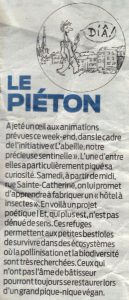 article_ste_catherine